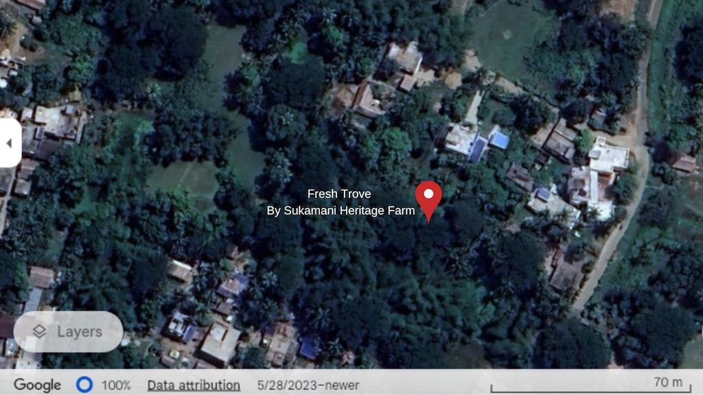 Fresh Trove - By Sukamani Heritage Farm Headquarter- Best dried Paddy Straw Mushrooms farm - 3