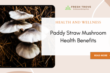 Paddy Straw Mushroom Health Benefits - Fresh Trove - Sukamani Heritage Farm - Best paddy straw mushroom buy online