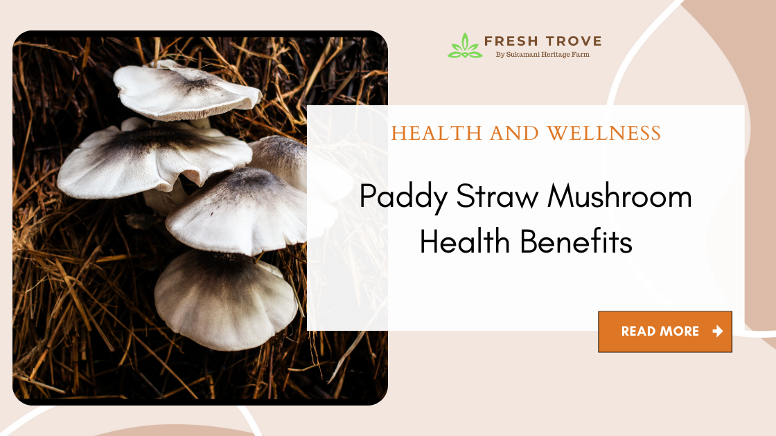 Paddy Straw Mushroom Health Benefits - Fresh Trove - Sukamani Heritage Farm - Best paddy straw mushroom buy online