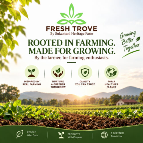 Fresh Trove 4-Piece Garden Tool Set for Gardening
