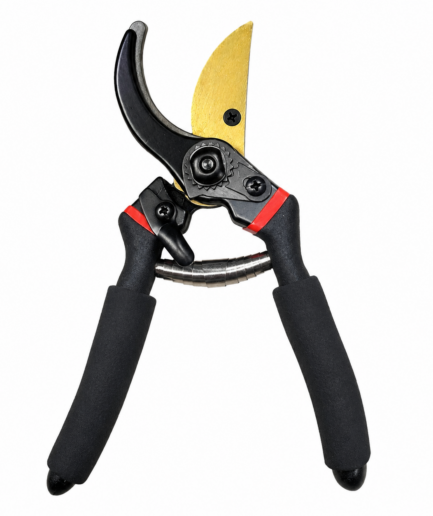 Fresh Trove 8-Inch Garden Pruning Shears – Plant Cutter, Flower Cutter & Secateurs for Everyday Garden Care
