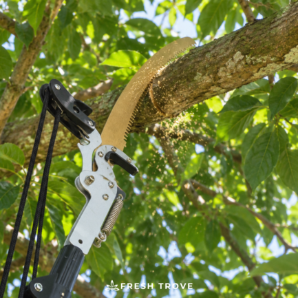 Fresh Trove Tree Branch Cutter SK5 Steel, 5m Pull Cord Long Reach Tool | Long Reach Garden Pruning Tool & Trimmer for Tall Plants