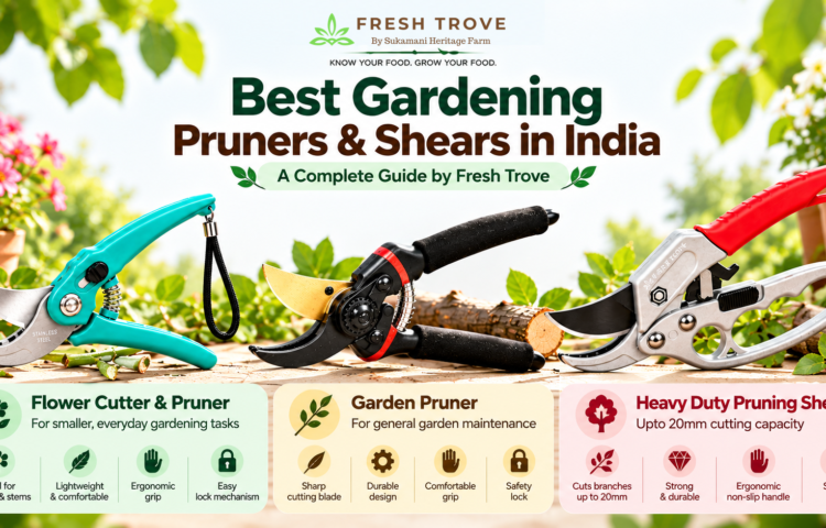 Fresh Trove Best Pruners & Shears in India Guide